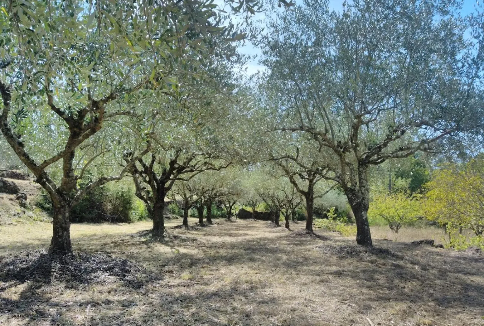 Hébergement de vacances Villa La Magnanerie Du Berguier à Laurac-en-Vivarais